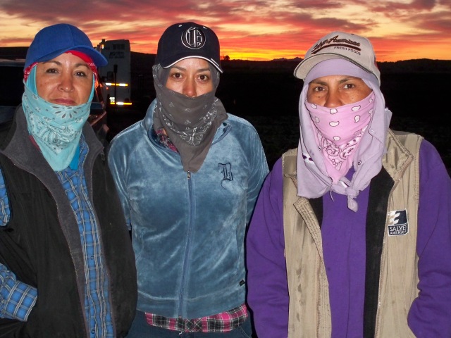 Photo by Martha Beltran, AFOP Health & Safety Programs AmeriCorps memberThree farmworker women in Arizona at the end of a long day in the fields.